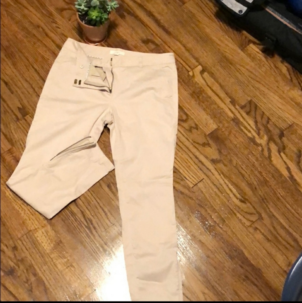 The Loft Skinny Pants (used)